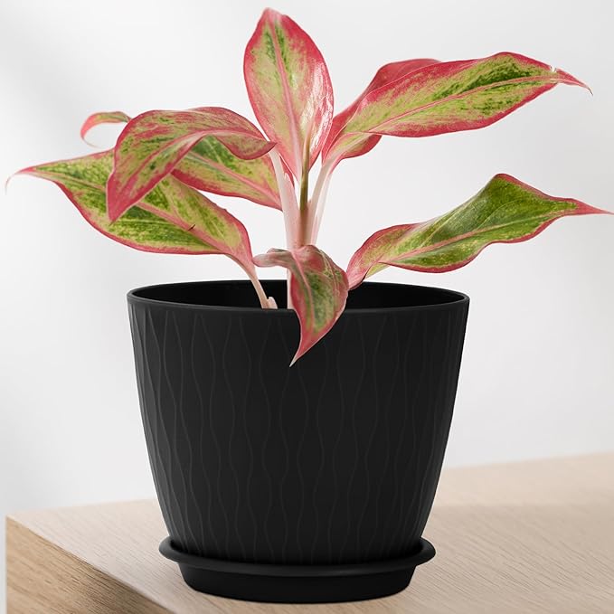 Plant Pots – 6 Inch Planters with Drainage Holes and Saucers, Flower Pots for Indoor and Outdoor Plants, Nursery Planting Pots (Pack of 5, Black)