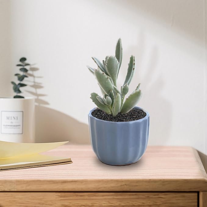 10 LB Black Lava Rocks for Plant Decorative Landscaping for Cacti Succulents Plants, Bonsai, and Terrarium Plants,…