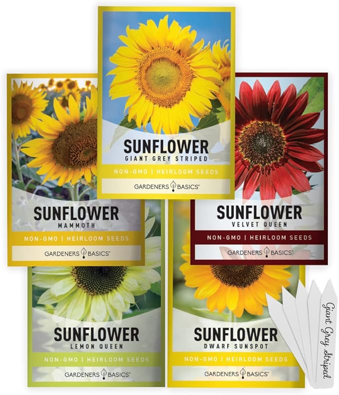 Gardeners Basics, Sunflower Seeds for Planting Flowers (5 Pack Mix) - Velvet Queen, Dwarf Sunspot, Lemon Queen, Giant and Mammoth Bulk Mix of Regular Sunflower Seeds for Outdoor Flower Garden