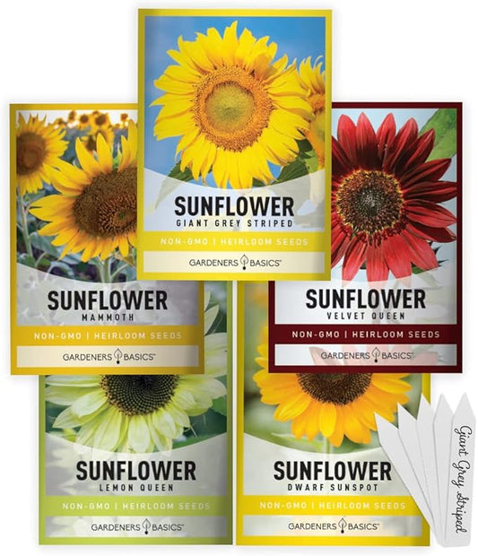 Gardeners Basics, Sunflower Seeds for Planting Flowers (5 Pack Mix) - Velvet Queen, Dwarf Sunspot, Lemon Queen, Giant and Mammoth Bulk Mix of Regular Sunflower Seeds for Outdoor Flower Garden