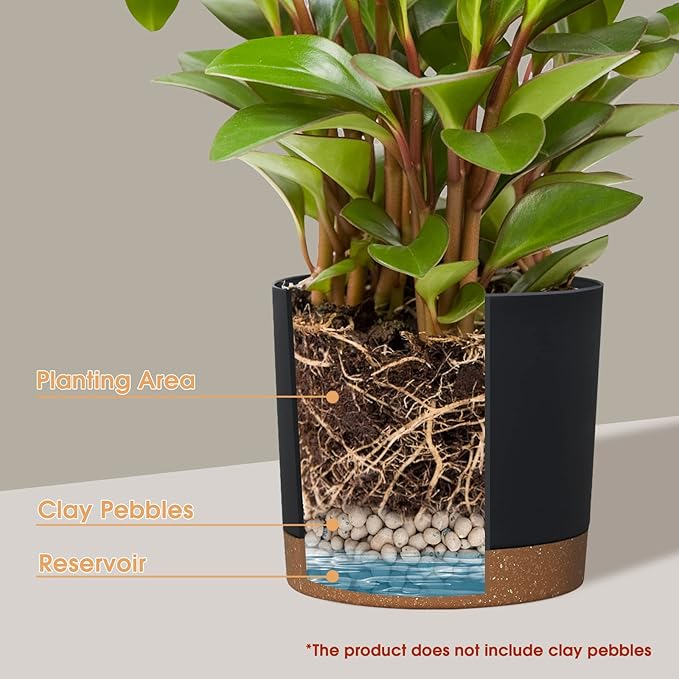 kubvici Plant Pots for Indoor Plants, 2 Pack 8 Inch Plastic Flower Pot Planters with Drainage Saucer for Indoor Outdoor Garden Home (8” Black)