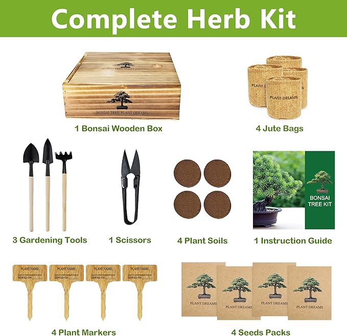 Bonsai Tree Kit, Bonsai Starter Kit with 4 Bonsai Tree Seeds, Tools & Planters, Bonsai Tree Live Plants Indoor, Gardening Gifts for Women Men Mom Father Plant Lover, Unique Christmas Gifts