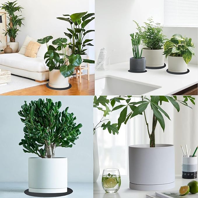 Ceramic Plant Saucer Pot Tray 12 Inch, Planter Saucers 4 5 6 7 8 9 10 11 12 Inch for Indoors Outdoor, Durable Sturdy Flower Drainage Tray for Glazed Pots Base (12.5 Inch-White)