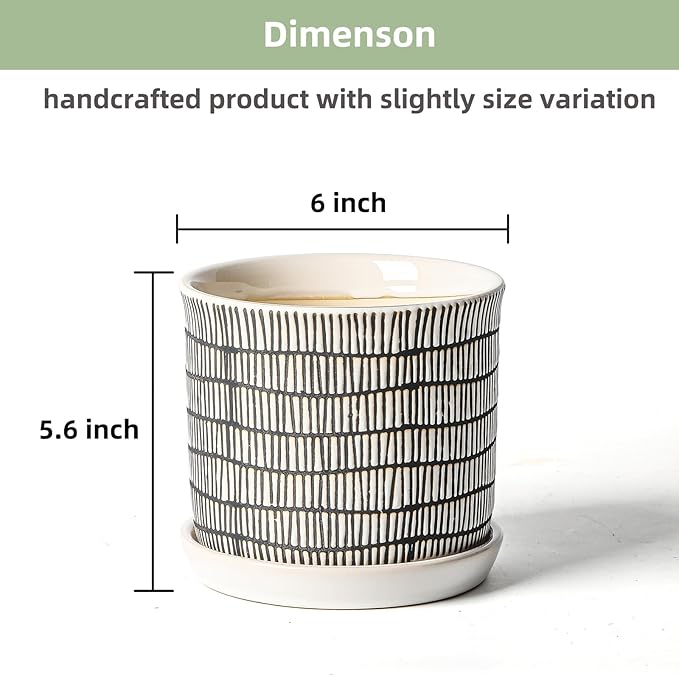 6 Inch Plant Pot: Ceramic Planter with Drainage Hole & Saucer - Cylinder Flowerpot for Indoor & Outdoor Plants - with Separate Tray for Home & Office - Striped Design