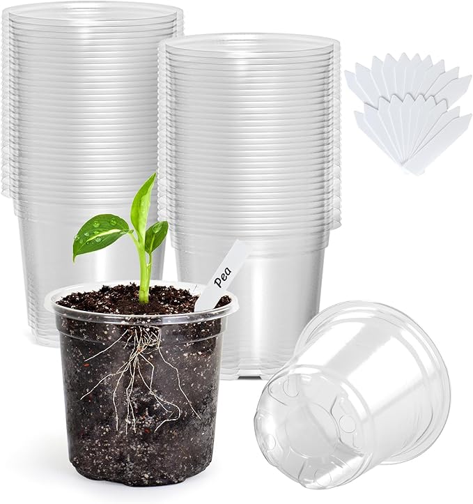 Bonviee Clear Nursery Pots for Plants, 3.5 Inch Plant Pot for Planting Plastic Seedling Pots with Drainage Holes Seed Starter Pot Flower Pots High Transparency with 20 Plant Labels (60 Pack)