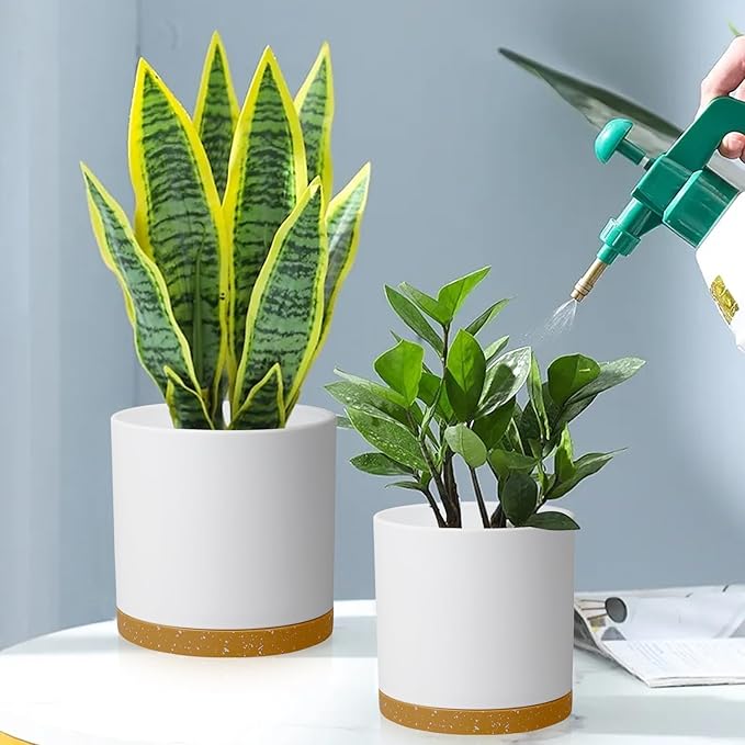 12/10/8 inch Large Flower Pots, 3 Pack Cylinder Deep Plant Pots for Outdoor Indoor Plants, Tall Plastic Planters with Drainage Holes and Saucers for Garden House Plants, White with Brown