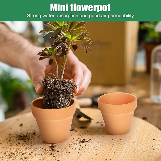 FAMILY 20 Pack 3.15 inch Terra Cotta Clay Flower Pots - Breathable and Paintable Indoor Mini Planters for Kids and Adults