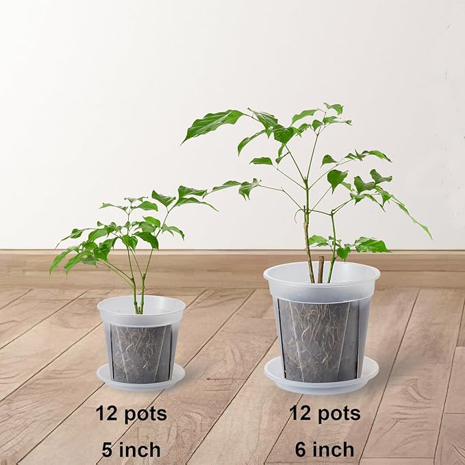 24 pcs 5/6 inch Clear Nursery pots for Plants,Thick Plastic Clear Plant pots with Drainage Holes and Saucers for Orchids,Succulents etc,Outdoor or Indoor use