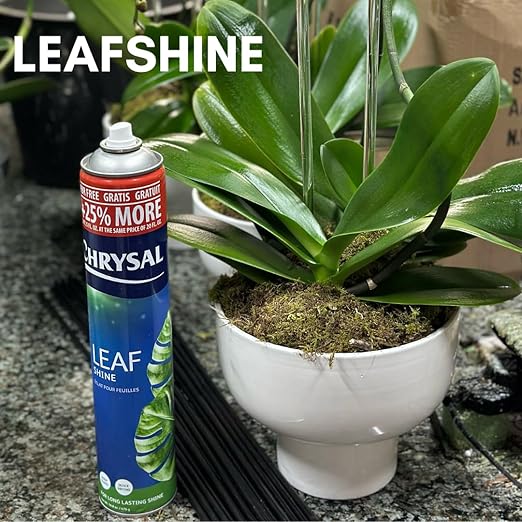 Chrysal Leafshine 25oz aerosol Bonus Size 25% More from Holland Formely Pokon/Item NO#I-86/Q-UI754383121