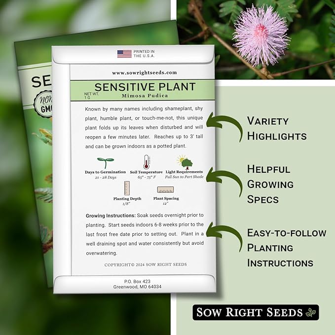 Sow Right Seeds - Sensitive Plant Mimosa Pudica Seeds for Planting - Non-GMO Heirloom Easy to Grow Touch-Me-Not - Unique Blooms - Grow Indoor or Outdoor - Great for Kids - Fun Interactive Flower (1)