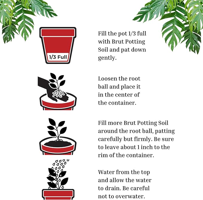 Brut Organic Potting Soil – 1 CF – Everything Your Plants Need in one Bag. Indoor and Outdoor Container Plants. 2 Pack