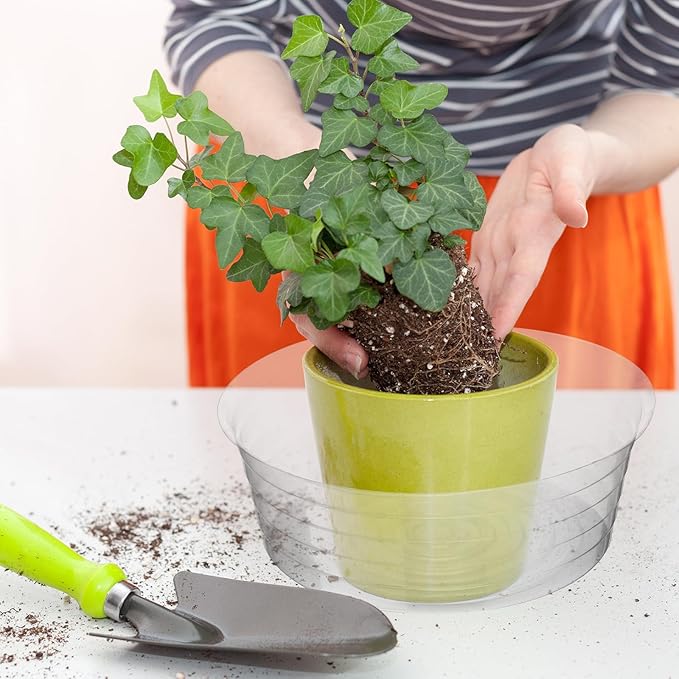 Hoolerry Plastic Plant Saucer Clear Deep Drip Tray Thickened Clear Plant Saucers Trays for Pots Deep Drip Trays for Home Garden Indoor and Outdoor Potted(15 Pcs,12 Inch)