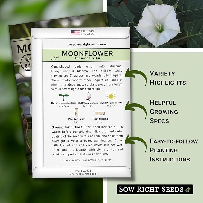 Sow Right Seeds - Moonflower (Ipomoea alba) Flower Seeds for Planting - Beautiful Flowers to Plant in Your Home Garden - Non-GMO Heirloom Seeds - Tall Annual Great for Cut Flowers - Wonderful Gift (3)