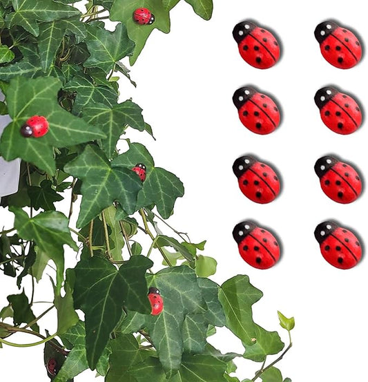 8pcs Plants Magnets Tiny Ladybug Pins Charms Funny Potted Plant Safe Magnets Cute House Plant Accessories,Christmas Decoration Gift for Plants Lovers (Ladybug)