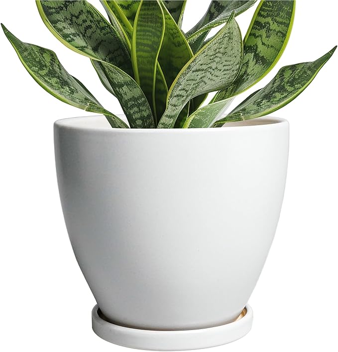 Ceramic Pots for Plants - 6 Inch Plant Pot with Drainage Hole and Saucer, Succulent Round Flower Planters for Indoor, Home Decor, White