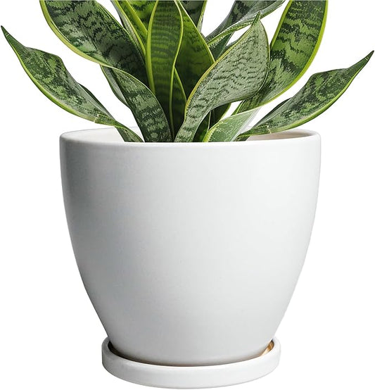 Ceramic Pots for Plants - 6 Inch Plant Pot with Drainage Hole and Saucer, Succulent Round Flower Planters for Indoor, Home Decor, White