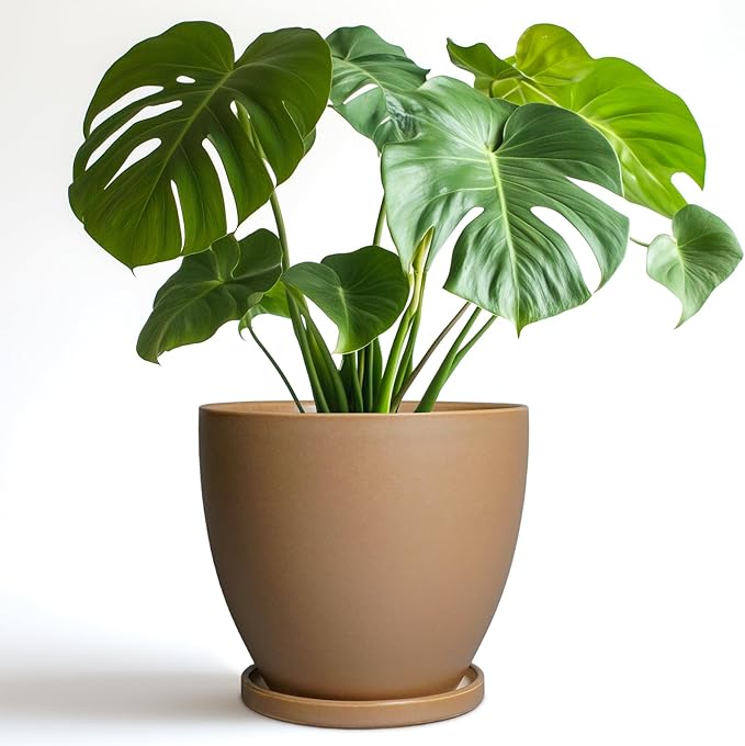 Ceramic Pots for Plants - 8 Inch Planter, Indoor Plant Pot with Drainage Hole and Saucers, Modern Flower Planter, Home Garden Patio Bathroom Porch Room Decor, Brown