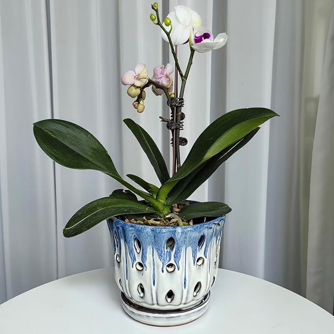 Ceramic Orchid Pot with Drainage Hole 6'' Orchid Planter (Blue Cover White)