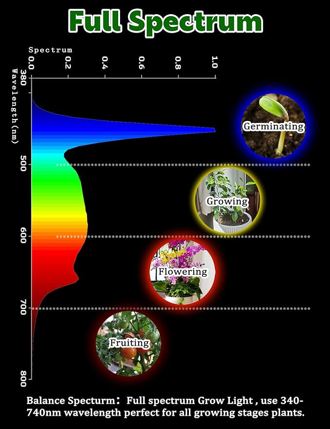 Grow LED Light Bulbs Full Spectrum, E12 12W Small Candelabra Plant Growing Bulbs 100w Equivalent, Balanced Spectrum 5000K Blue Red Sun Grow Plant Bulbs for Flowers,Seed Starting,Indoor Growing,6Pcs