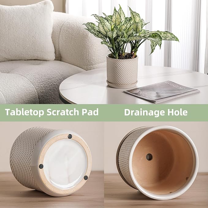 6 Inch Plant Pot: Ceramic Planter with Drainage Hole & Saucer for Indoor Outdoor Plants - Flowerpot with Bonded Tray for Home Office - Beaded Embossed Style, Cream White