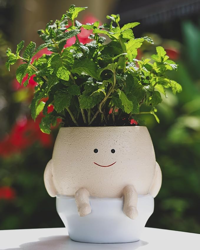Smily Face Planter Pot Funny Toilet Plant Pots Cute Resin Flower Head Planters Succulent Pots for Indoor Outdoor Plants Unique Bathroom Planter with Drainage Hole (Large)