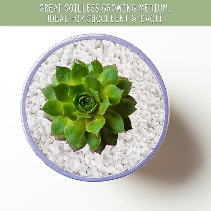 Horticultural Perlite Soil Additive (1 Quart); for Enhanced Potting Mix Drainage and Growth