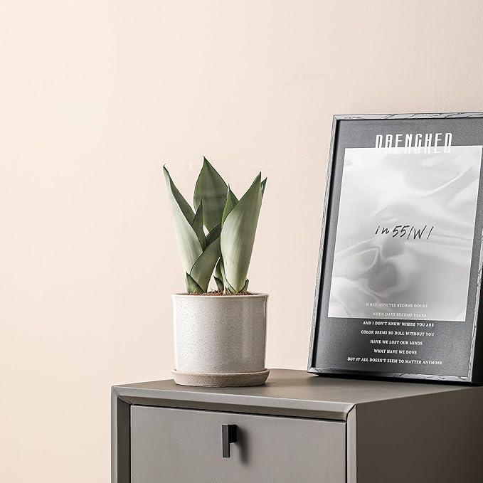 6 Inch Plant Pot: Ceramic Planter with Drainage Hole & Saucer - Cylinder Round Flowerpot for Indoor & Outdoor Plants - with Separate Tray for Home & Office - Retro Style, Grey