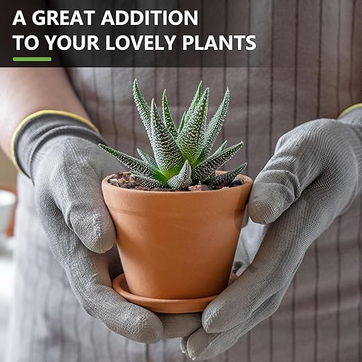 5lbs Lava Rocks for Plants, 1/5 Inch Pea Gravel for Pots Indoor, Succulent, Terrarium, Cactus, Bamboo, Bonsai Tree, Mixed Color Volcanic Rocks for Top-Dressing, Good Drainage