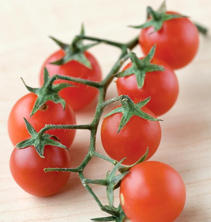 Burpee 'Red Currant', Red Cherry Tomato, Sweet Flavor, 60 Non-GMO Seeds
