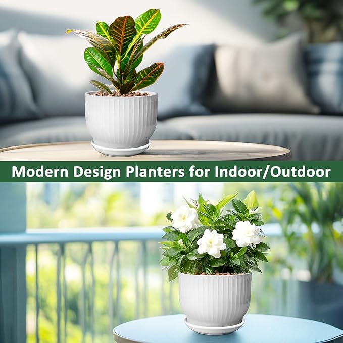 8 Inch Plant Pot, Ceramic Planter with Drainage and Saucer, Ceramic Pots for Plants, Indoor Plant pots,Ceramic Flower pots(Pure White, Plants NOT Included)