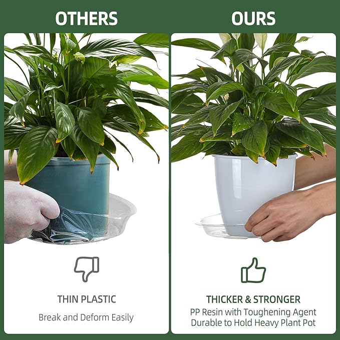 BORPEIN Plant Saucer (6,8,10,12inch, 24 Pack) Clear Plastic Plant Trays for Pots Indoors Outdoors, Thicker Flower Pot Saucers, Plant Plate to Catch Water