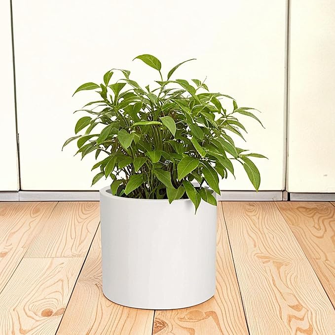 Fox & Fern 8 Inch Plant Pot with Drainage Plug — Premium Lightweight Fiberstone Matte White Planter; Indoor & Outdoor Planter; 8 Inch Pots for Plants; Weather Resistant & UV Resistant