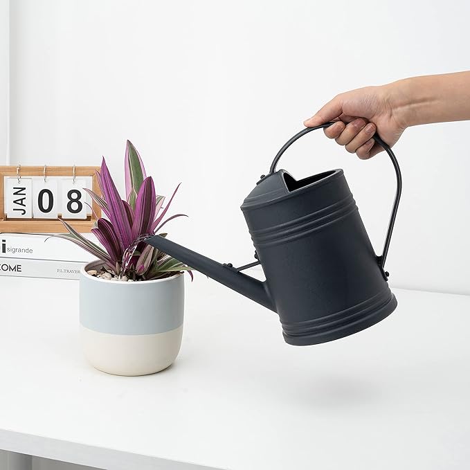 Watering Can for Indoor Plants, Flower Watering Can, Plastic Water Can for Plants, Indoor Watering Can with Sprinkler Head 68 oz, 1/2 Gallons