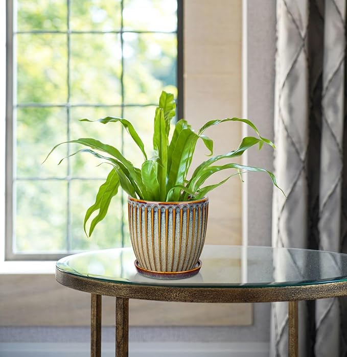 Oairse Ceramic Pots for Indoor Plants, 4.9 +5.7 inch Pots for Plants Set of 2 Brown Plant Pots with Drainage Holes and Saucers Texture Ceramic Planters Indoor Outdoor Flower Pots for Succulent