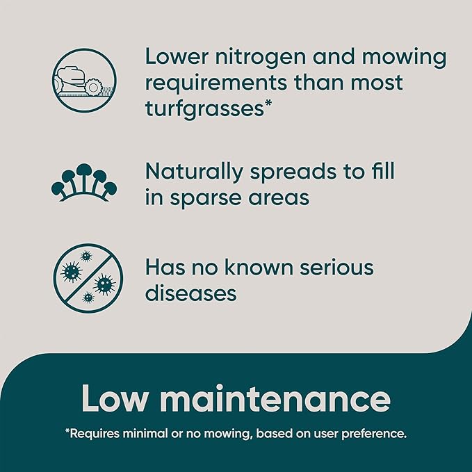 Scotts Pursue Dichondra with Natural Seed, Seeding for Decorative Areas, 1.5 lbs. (Pack of 2)