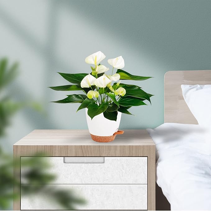 Plant Pots for Indoor Plants 5 Pack Self Watering Planters, 7/6.5/6/5.5/5 Inch Self Watering Pots with Drainage Hole Plastic Flower Pot for Herbs, Succulents, African Violet (White)