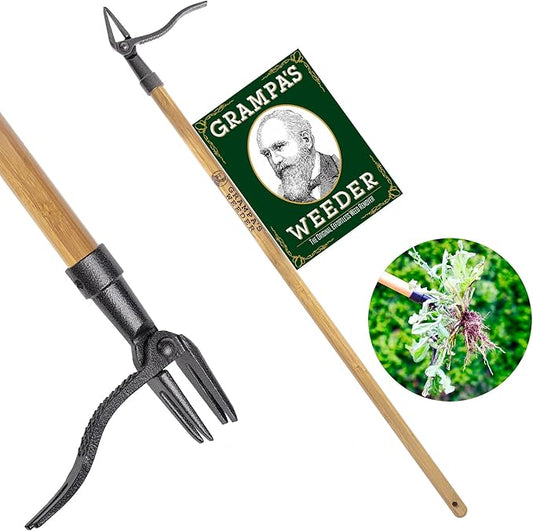 Grampa's Weeder - The Original Stand Up Weed Puller Tool with Long Handle - Made with Real Bamboo & 4-Claw Steel Head Design - Easily Remove Weeds Without Bending, Pulling, or Kneeling.
