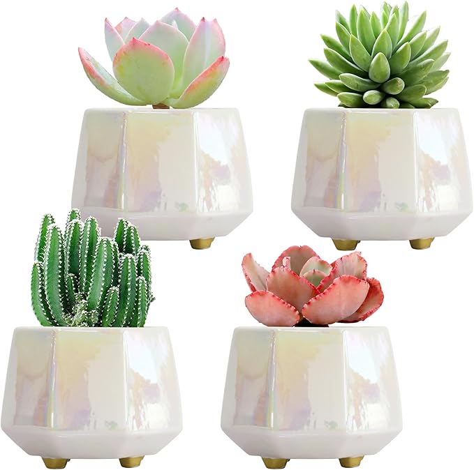 4 Inch Succulent Planter Ceramic Pot for Indoor Plants - Flower Pots with Drainage Hole - Set of 4