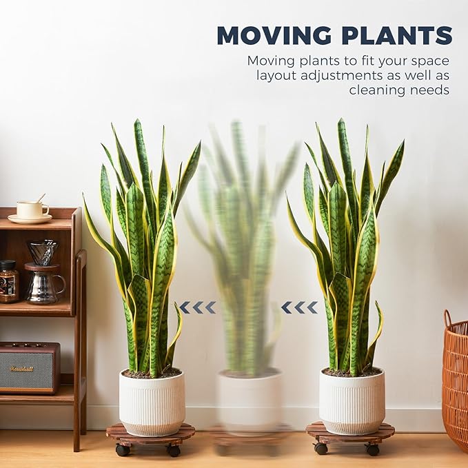 Bamworld Plant Stand Indoor Plant Caddy with Wheels 2 Pack 12in Rolling Plant Stand Outdoor Planter Caddy Flower Cart Plant Dolly for Large Plants Plant Rollers