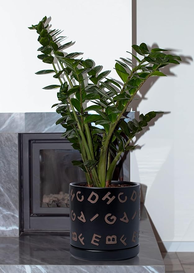 D'vine Dev Set of 2 Ceramic Planter Pots with Drainage Hole and Saucer, 4.5 Inch 6 Inch Plant Pots for Plants Indoor Houseplants, Black, 99-G-2