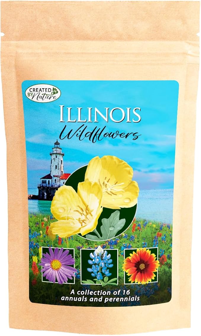 Illinois Wildflower Seed Mix, Covers 325 Sq Ft, 16 Flower Varieties, Over 40,000 Seeds, Created By Nature
