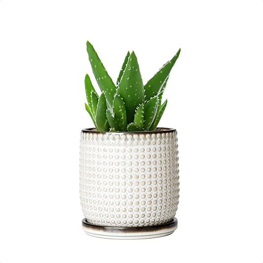 D'vine Dev 4 Inch Ceramic Beaded Stoneware Planter Pot - Flower Pot with Drainage Holes and Saucers for Indoor Succulent Plants or Flowers, Smoked White, 27-C-Z-1