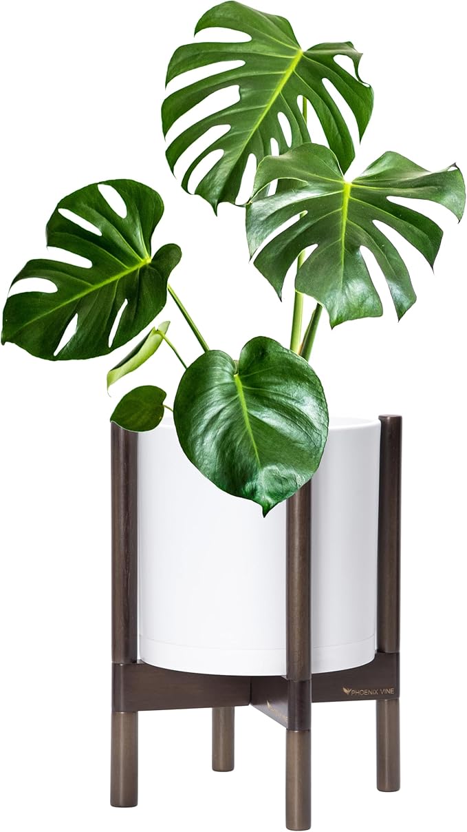 D'vine Dev Planter Pot with Stand - 10 Inch Plastic Cylinder Flower Pot with Wood Planter Holder for Indoor, Matte White Pot + Walnut Color Stand, 55-C-L-1