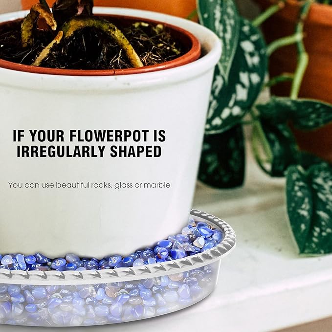 6 Pack Plant Saucer 6 8 10 12 14 Inch Plastic Plant Tray, Sturdy and Durable Flower Pot Container Accessories Plant Pot Saucers for Indoor and Outdoor (12 Inch, Clear)