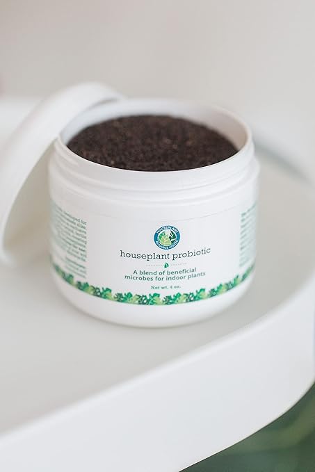 House Plant Probiotic Powder - Soil Conditioner to Provide Essential for Fiddle Leaf figs and All Varieties of houseplant.