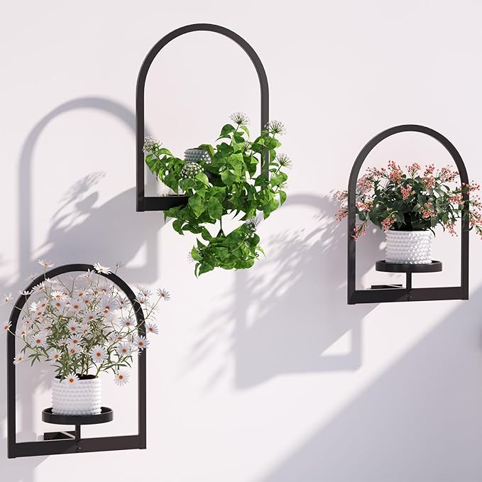 Wall Plant Holder, Wall Planters for Indoor Plants, Wall Mounted Plant Holder for Home Decor, Metal Plant Wall Shelf Plant Frames Wall Decor (3 Pack)