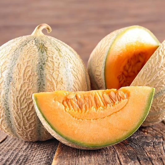 Hearts of Gold Cantaloupe Melon Seeds, Over 90 Premium Seeds - Heirloom, Non GMO - Woods Creek Seeds