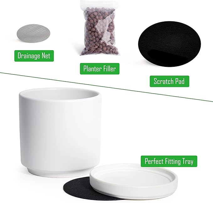 D'vine Dev Set of 2 Plants Pots, 6 Inch Ceramic Planter Pot for Plants with Drainage Hole and Saucer, White, 94-V-C-1