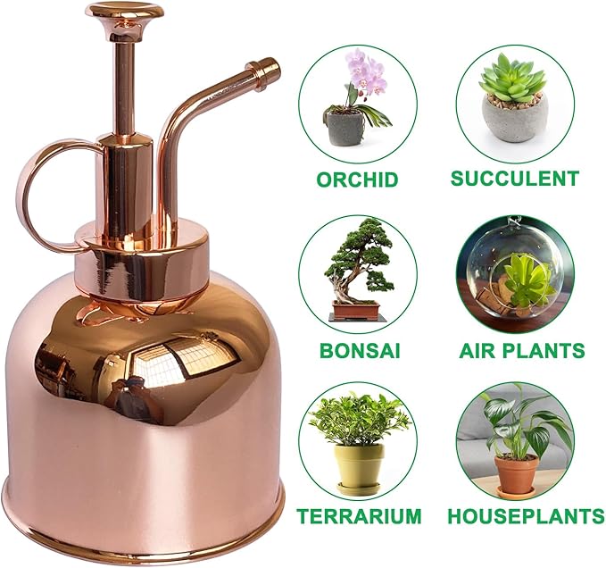 Plant Mister Spray Bottle Stainless Steel Plant Sprayer, Small Watering can Plant Spray Bottle Modern Gardening Tools for Indoor Potted Plants Watering and Spraying
