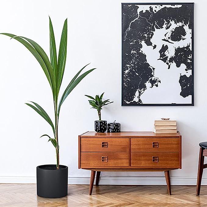 Fox & Fern 8 Inch Black Plant Pot with Drainage Plug — Premium Lightweight Fiberstone Matte Black Planter; 8 Inch Pots for Plants; for Indoor & Outdoor Use; Weather Resistant & UV Resistant